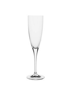 Connoisseur Champagne Flute